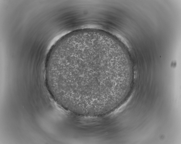 X0000090451117200708102043