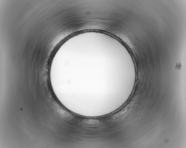 X0000090451119200708102043