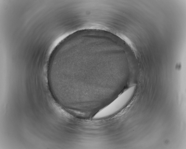 X0000090451120200708102043