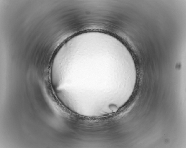 X0000090451121200708102043