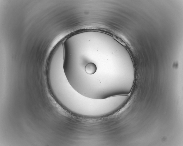 X0000090451122200708102043