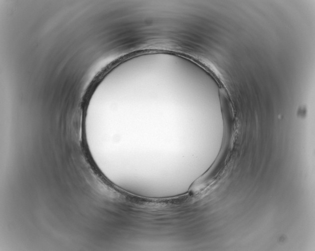 X0000090451123200708102043