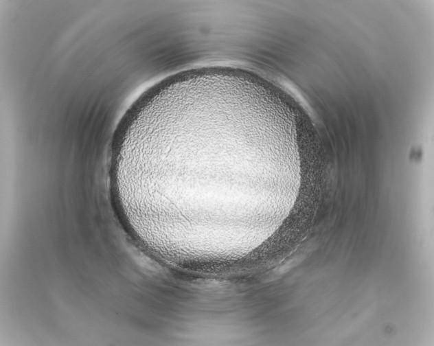 X0000090451124200708102043