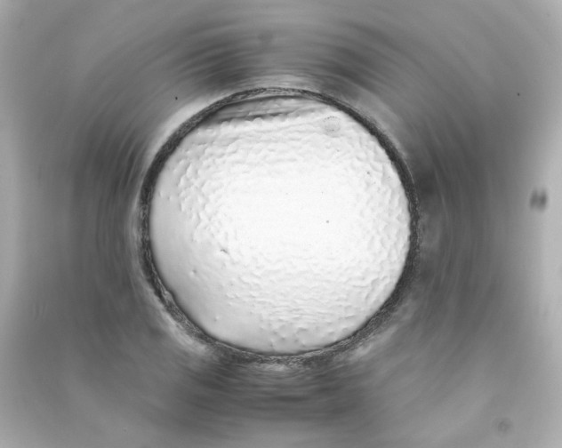 X0000090451125200708102043