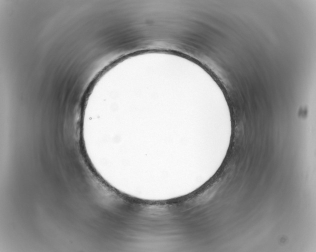 X0000090451126200708102043