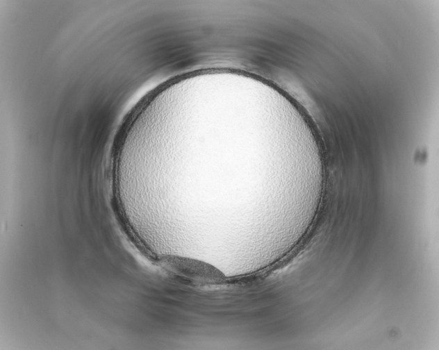 X0000090451127200708102043