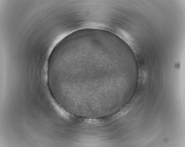 X0000090451128200708102043