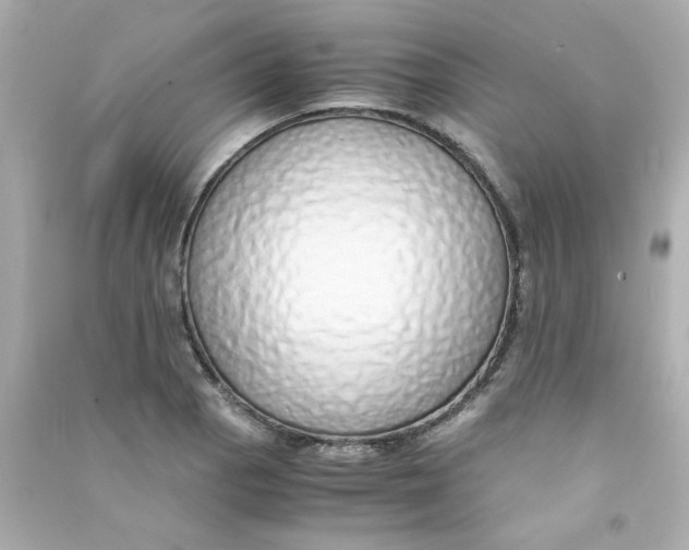 X0000090451129200708102043