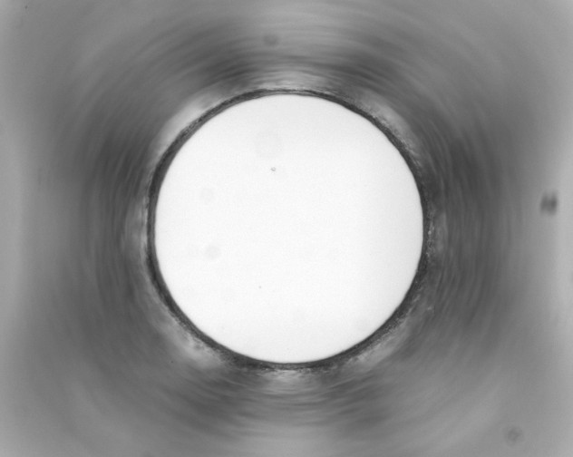 X0000090451130200708102043