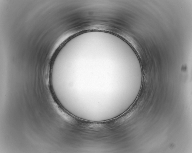 X0000090451131200708102043