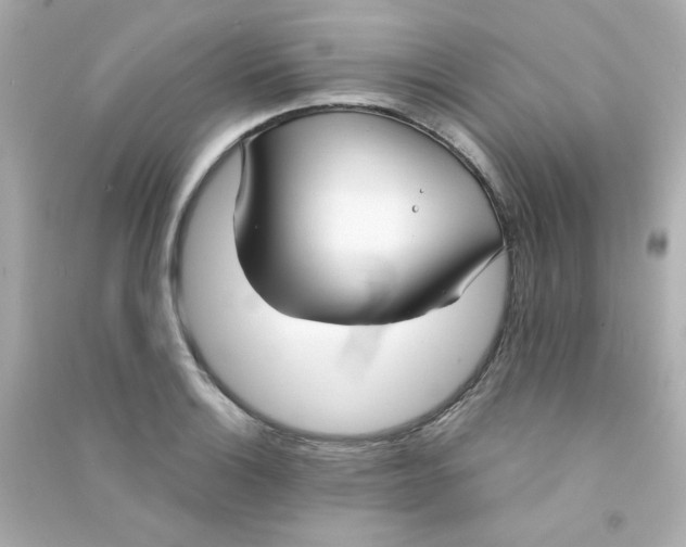 X0000090451132200708102043