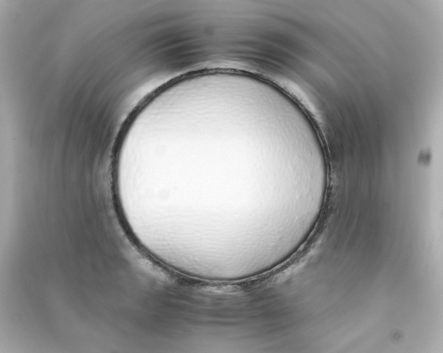 X0000090451133200708102043