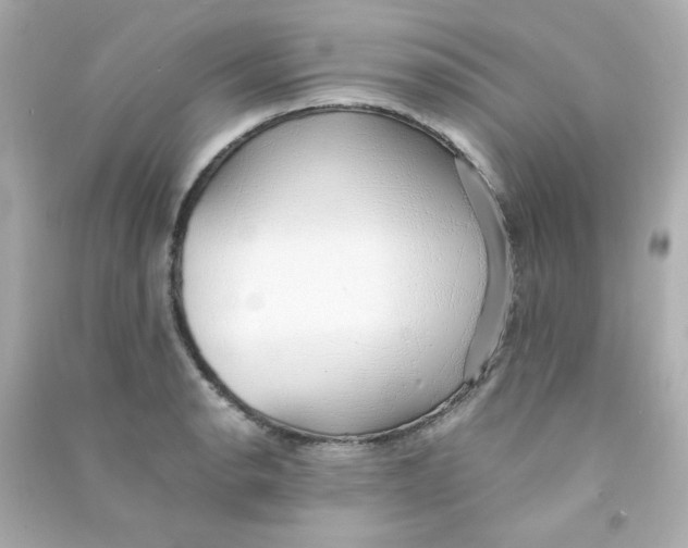 X0000090451134200708102043