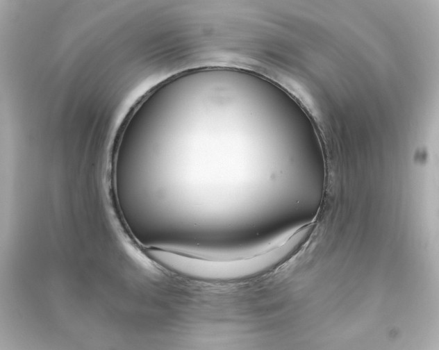 X0000090451136200708102043