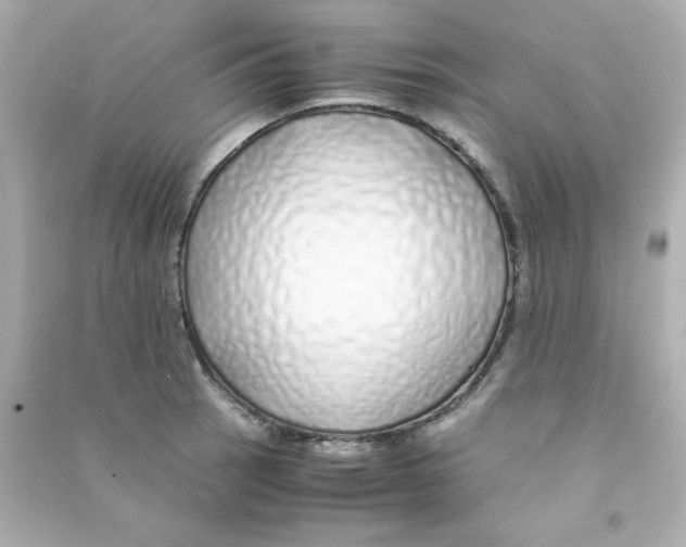 X0000090451137200708102043