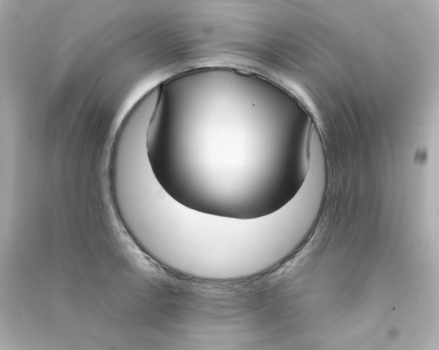 X0000090451138200708102043