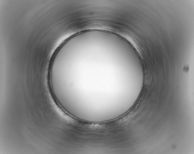 X0000090451139200708102043