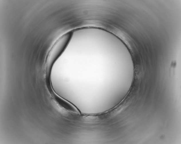 X0000090451140200708102043