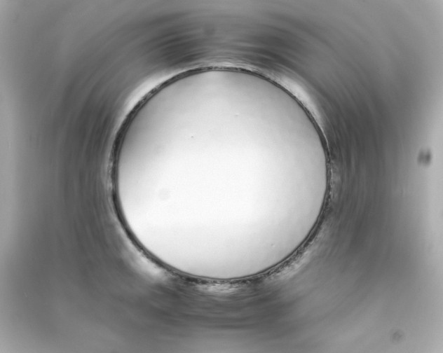 X0000090451141200708102043