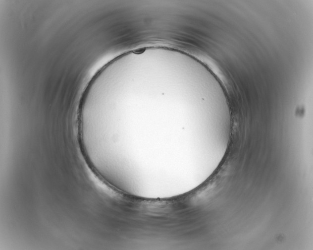 X0000090451143200708102043