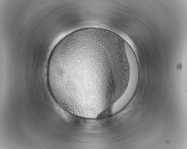 X0000090451144200708102043