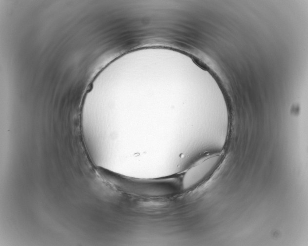 X0000090451145200708102043