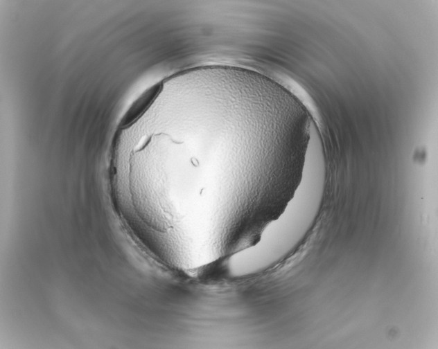 X0000090451146200708102043