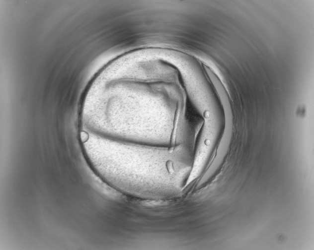 X0000090451147200708102043