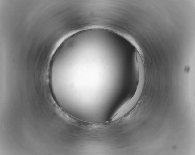 X0000090451148200708102043