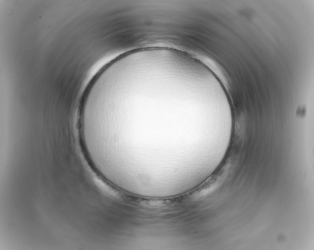 X0000090451149200708102043