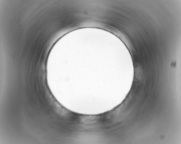 X0000090451150200708102043