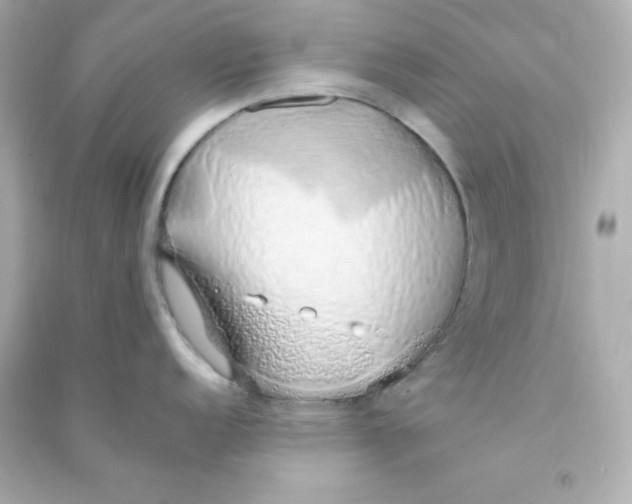 X0000090451152200708102043