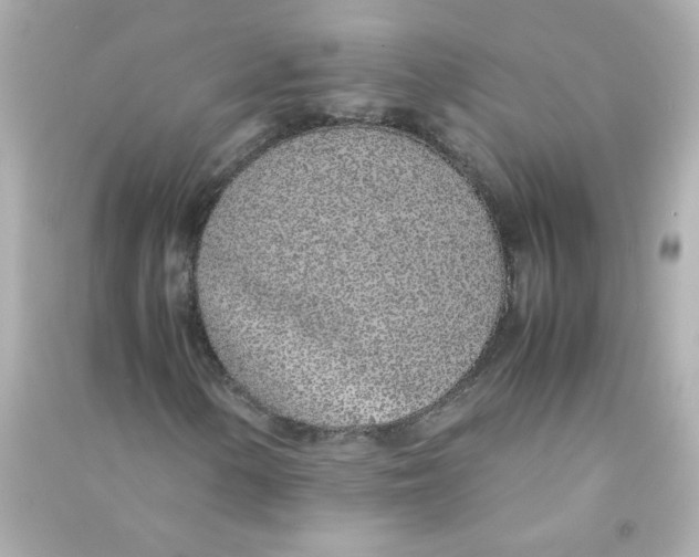 X0000090451154200708102043