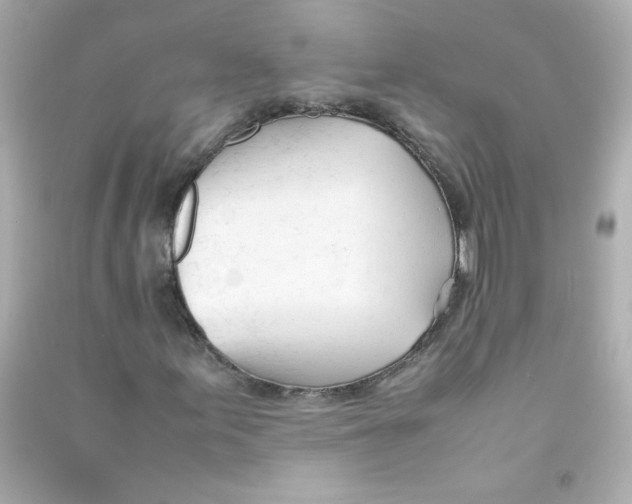 X0000090451155200708102043