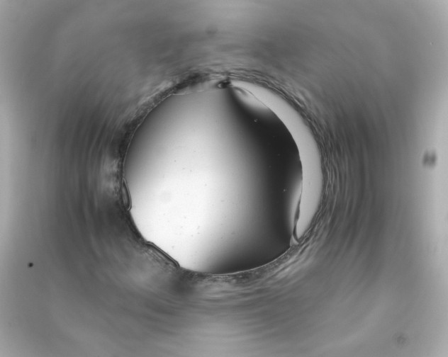 X0000090451156200708102043