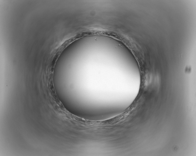 X0000090451157200708102043