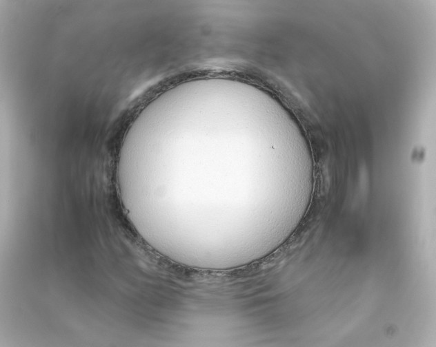 X0000090451158200708102043