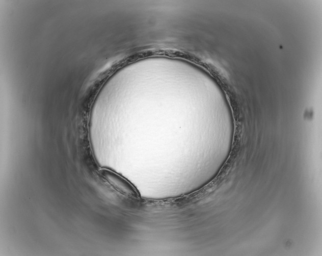 X0000090451159200708102043