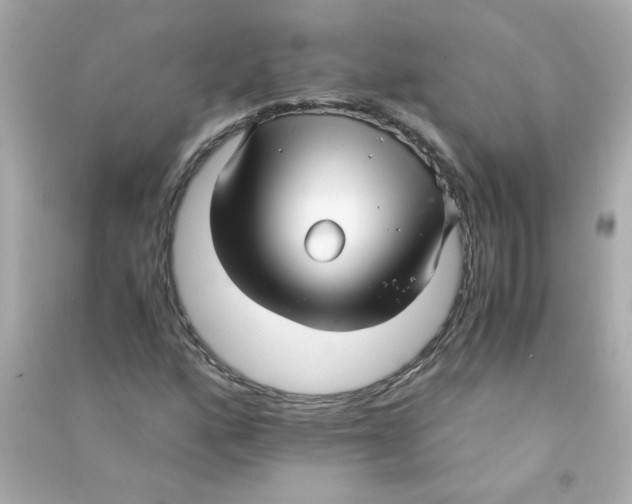 X0000090451160200708102043