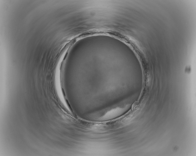 X0000090451161200708102043