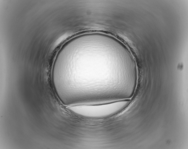 X0000090451163200708102043