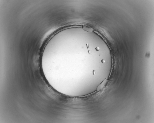 X0000090451164200708102042