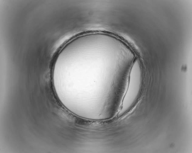 X0000090451167200708102042