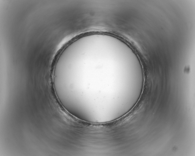 X0000090451168200708102042