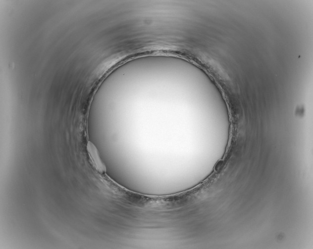 X0000090451169200708102042