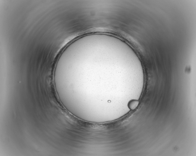 X0000090451170200708102042