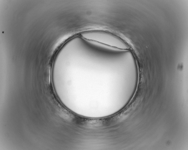 X0000090451171200708102042