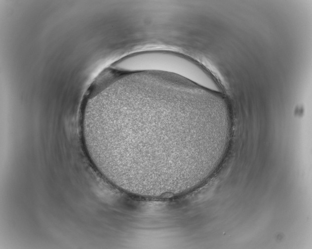 X0000090451173200708102042