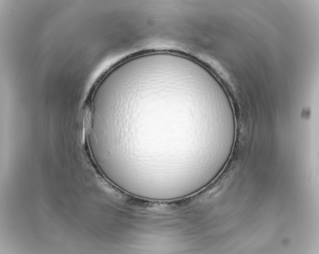 X0000090451175200708102042