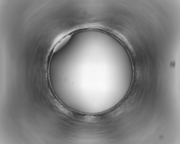 X0000090451176200708102042